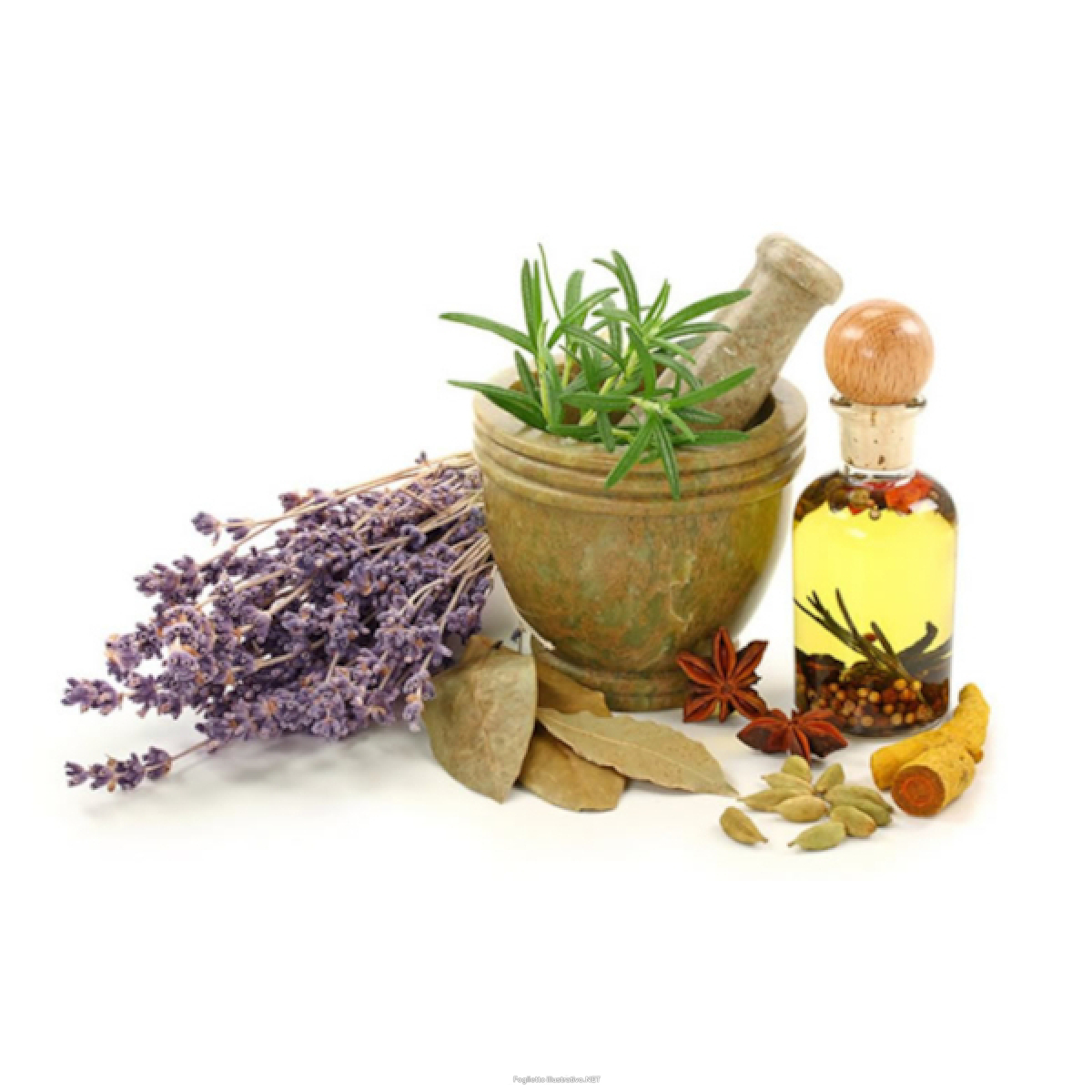 Cerca Offerte di innoaesthetics - hyaluronidase 500 confezione 4 fiale da 5 ml e acquista online