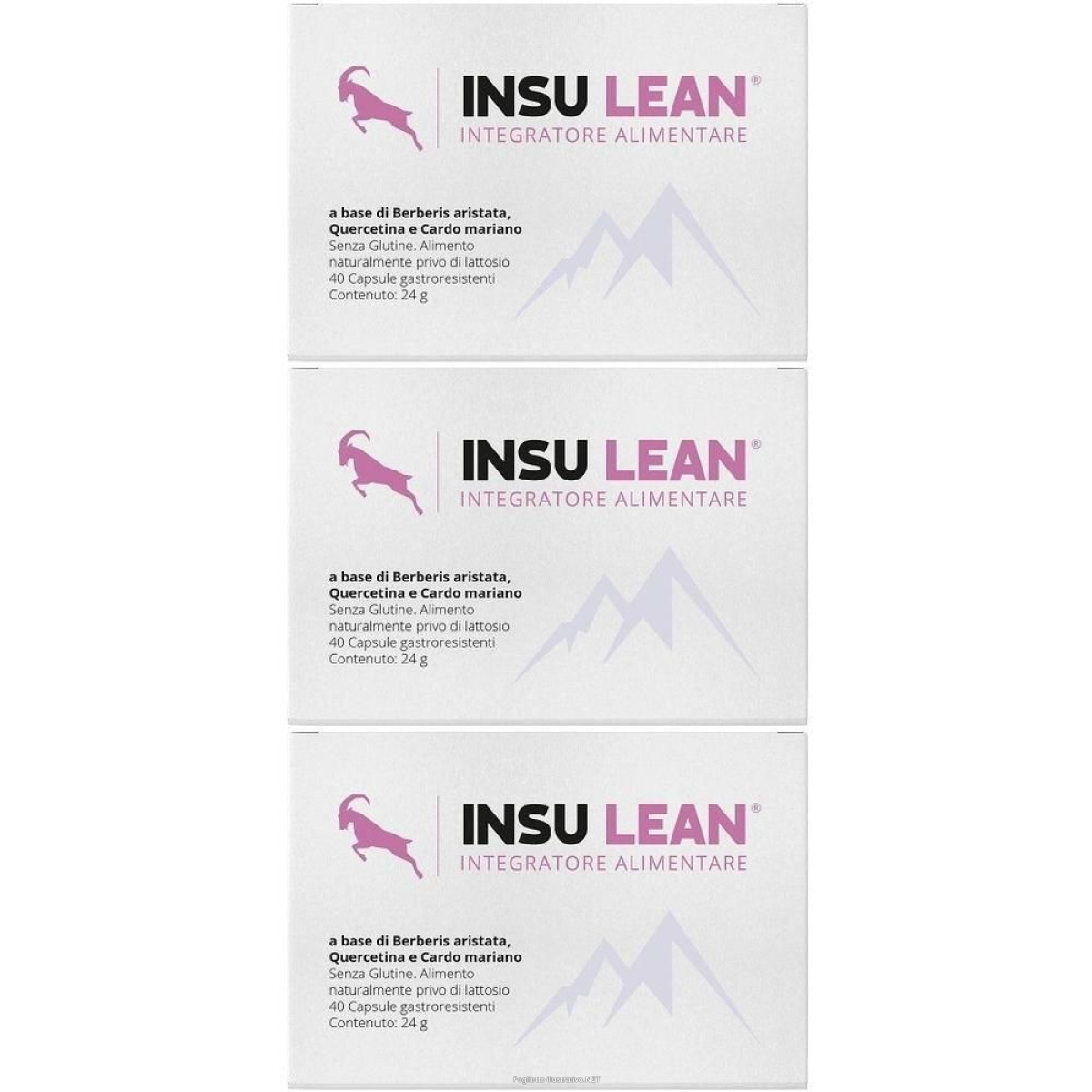 Cerca Offerte di insu lean capsule gastroresistenti 3x24 g gastroresistenti e acquista online