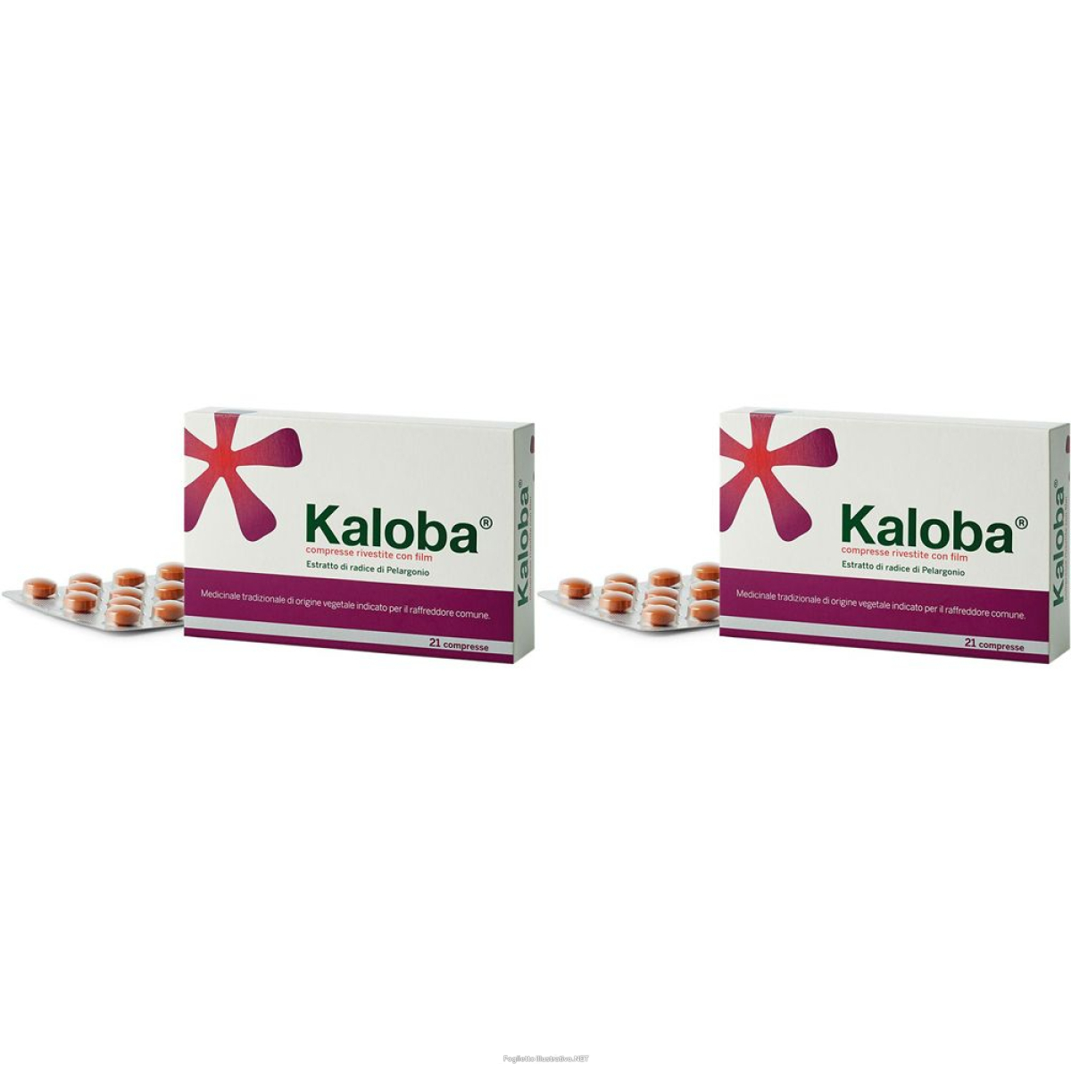 Cerca Offerte di kaloba® compresse rivestite set da 2 2x21 pz compresse con f e acquista online