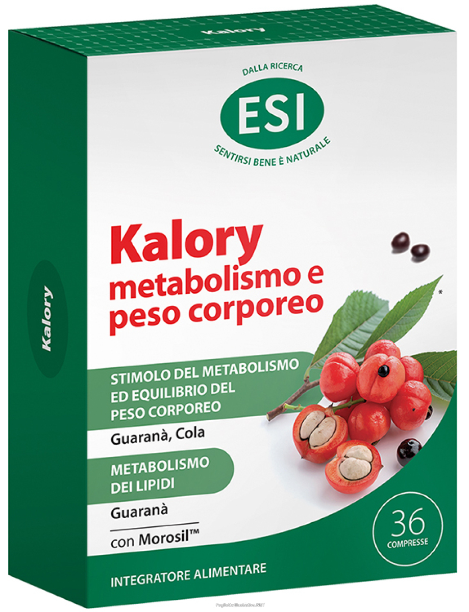 Cerca Offerte di kalory metabolismo e peso corporeo integratore per l'equilibrio del peso corpooreo e il metabolismo dei lipidi 30 compresse e acquista online