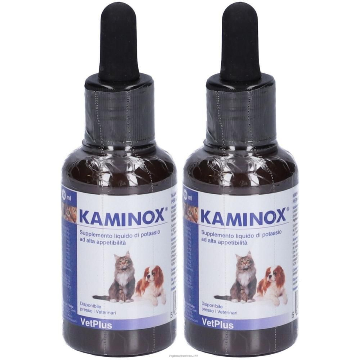 Cerca Offerte di kaminox sciroppo 2x60 ml e acquista online