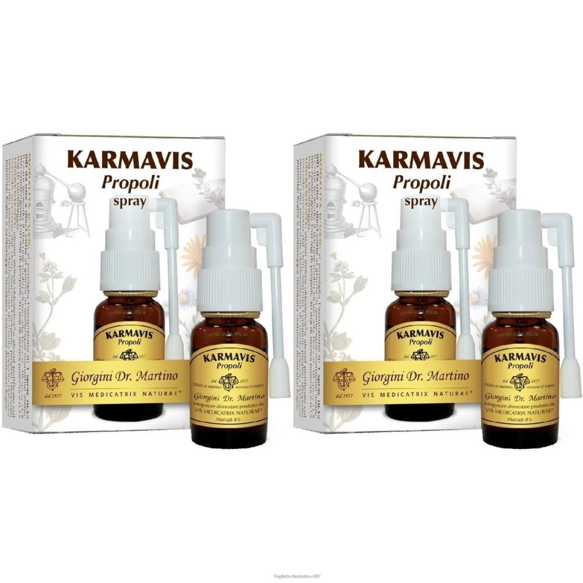 Cerca Offerte di karmavis propoli spray 15 ml set da 2 ml orale e acquista online