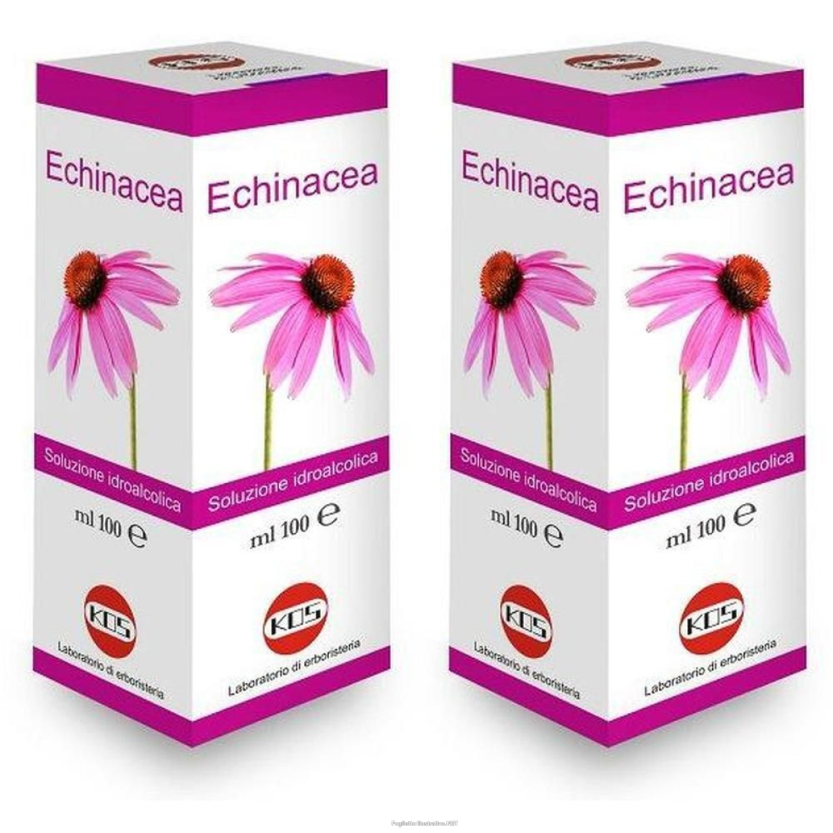 Cerca Offerte di kos echinacea soluzione idroalcolica gocce 2x100 ml e acquista online
