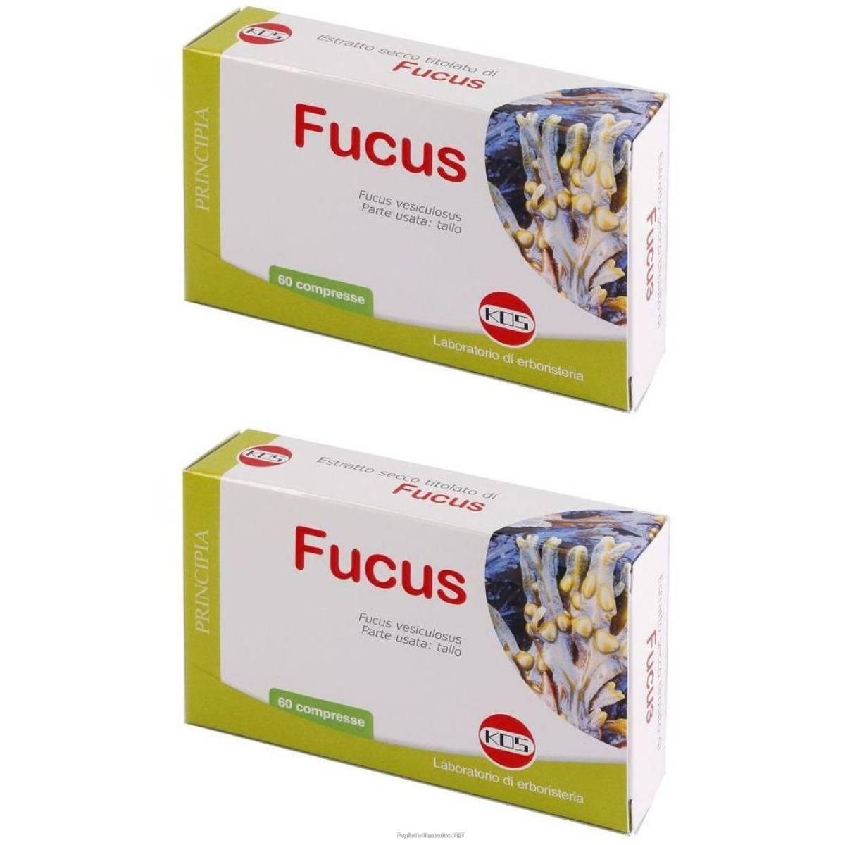 Cerca Offerte di kos fucus estratto secco compresse 2x60 pz e acquista online