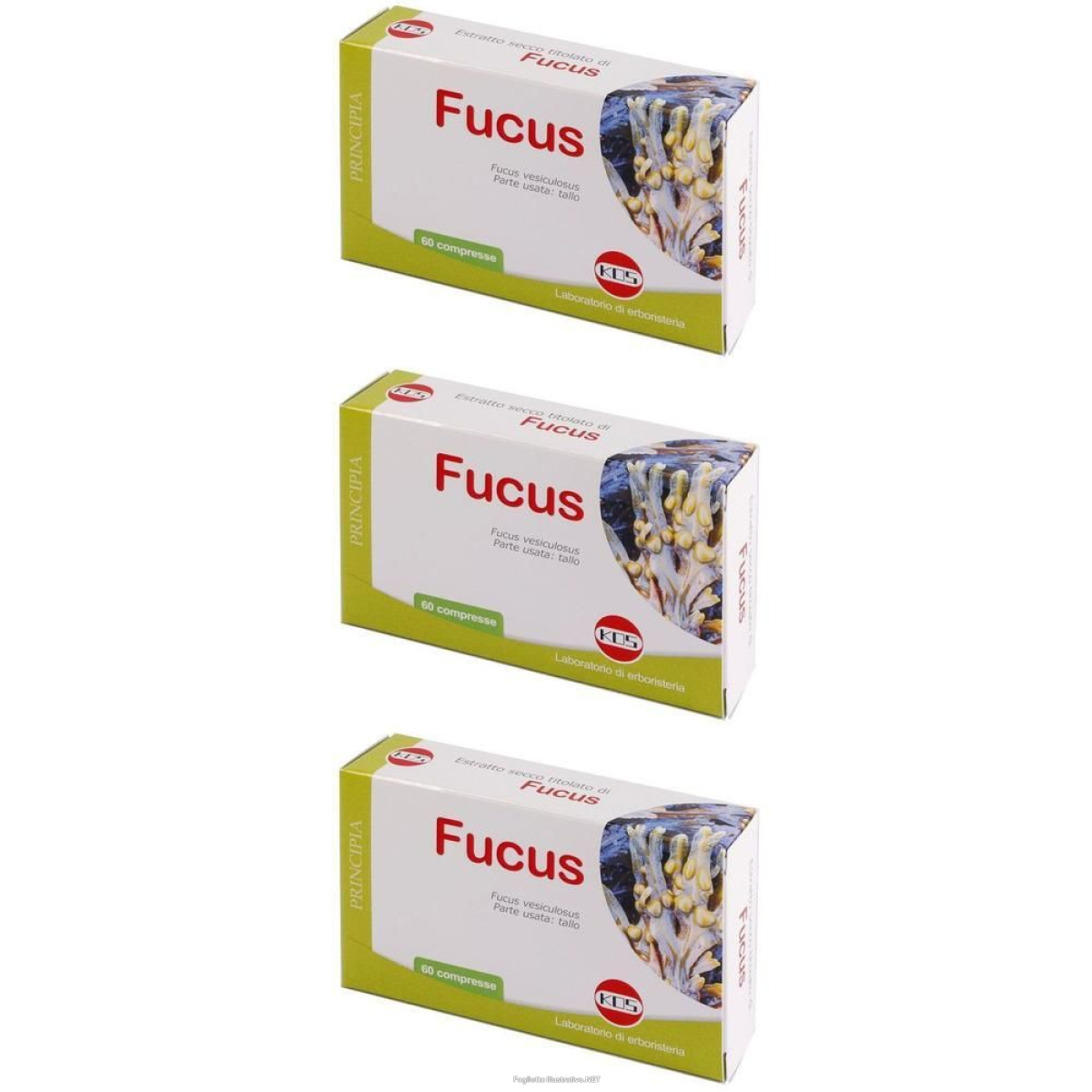 Cerca Offerte di kos fucus estratto secco compresse 3x60 pz e acquista online