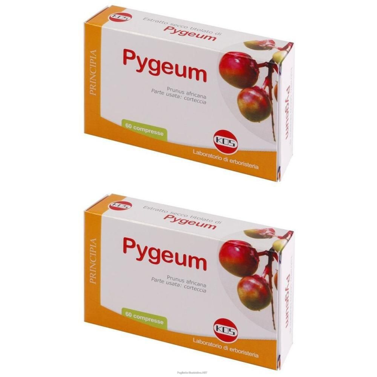 Cerca Offerte di kos pygeum estratto secco compresse 2x60 pz e acquista online