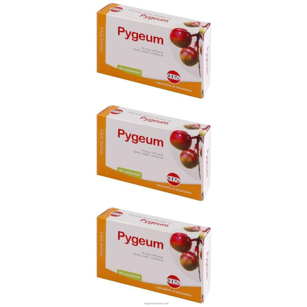 Cerca Offerte di kos pygeum estratto secco compresse 3x60 pz e acquista online