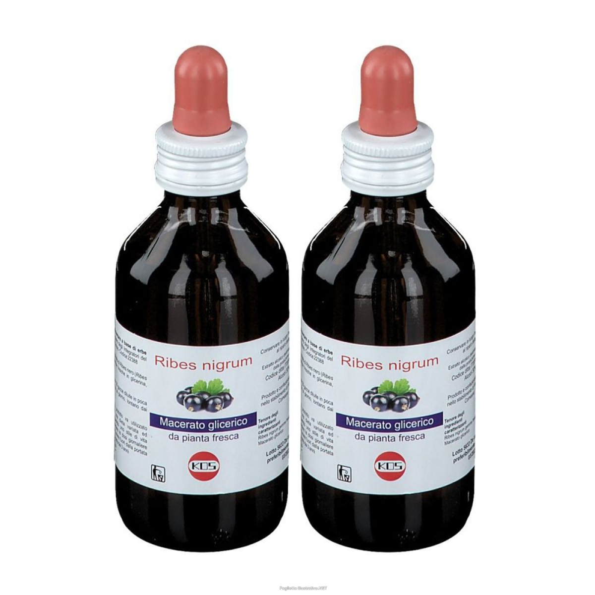 Cerca Offerte di kos ribes nigrum set da 2 2x100 ml gocce e acquista online