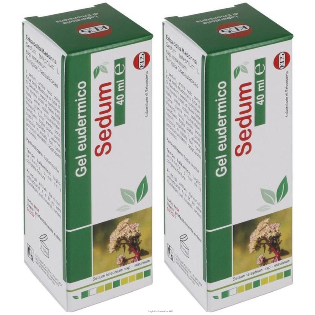 Cerca Offerte di kos sedum gel eudermico 2x40 ml e acquista online