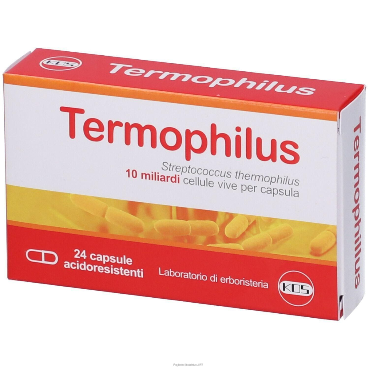 Cerca Offerte di kos thermophilus capsule 4x13,2 g e acquista online