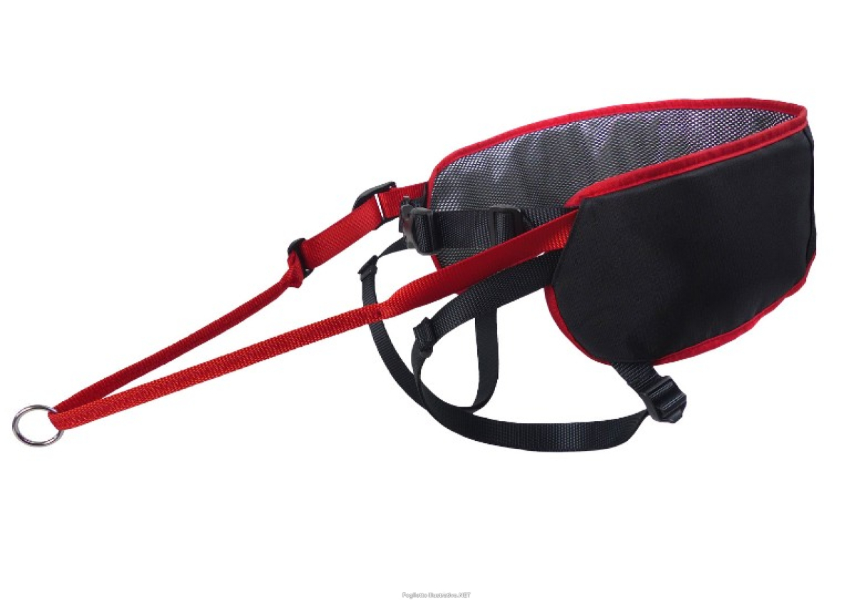 Cerca Offerte di kyflie cintura ludus performance t1 rosso e acquista online