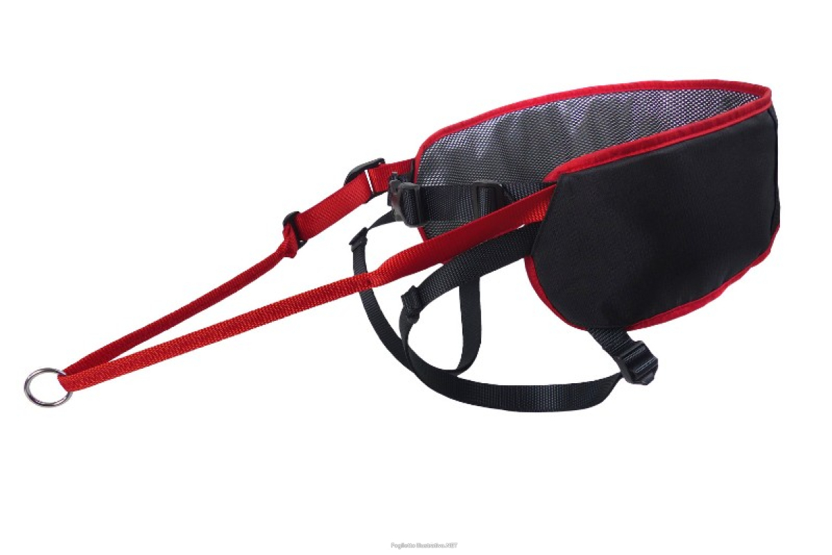 Cerca Offerte di kyflie cintura ludus performance t2 rosso e acquista online