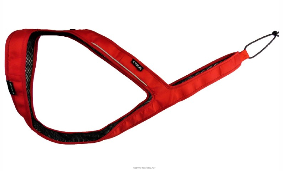 Cerca Offerte di kyflie imbracatura ludus t1 rosso e acquista online
