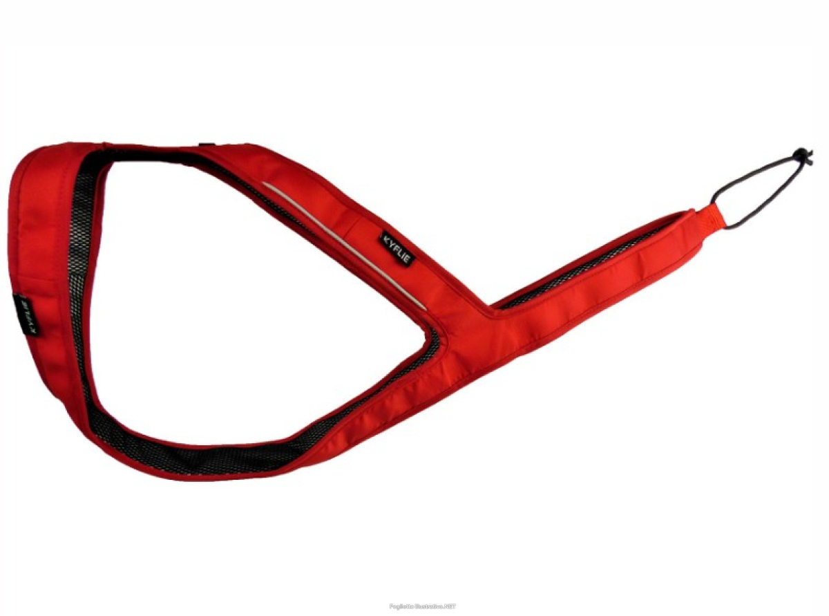 Cerca Offerte di kyflie imbracatura ludus t10 rosso e acquista online