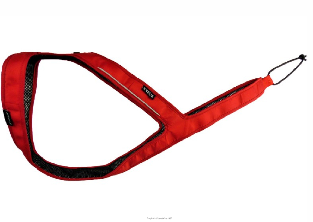 Cerca Offerte di kyflie imbracatura ludus t11 rosso e acquista online