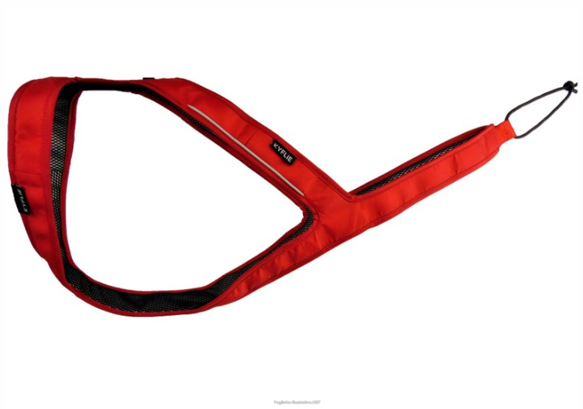 Cerca Offerte di kyflie imbracatura ludus t12 rosso e acquista online