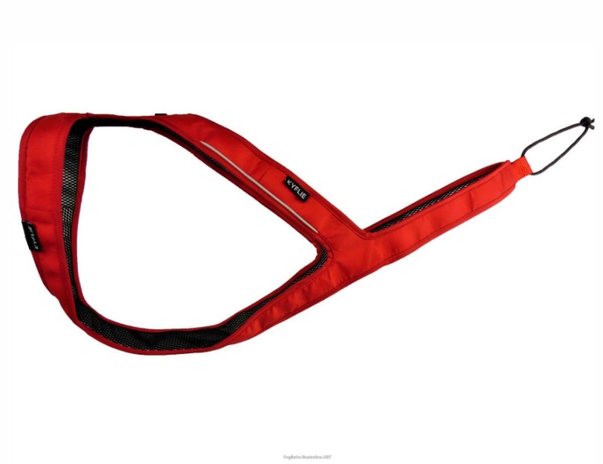 Cerca Offerte di kyflie imbracatura ludus t13 rosso e acquista online