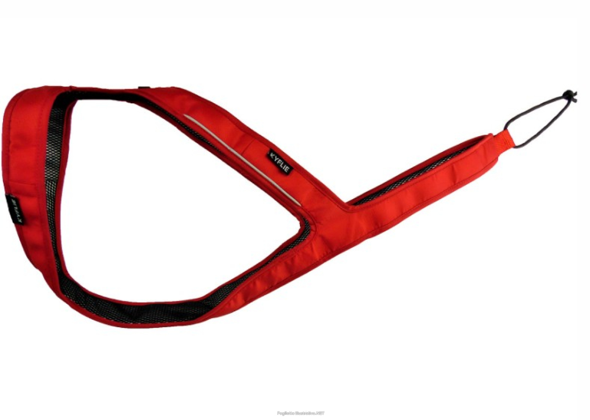 Cerca Offerte di kyflie imbracatura ludus t14 rosso e acquista online