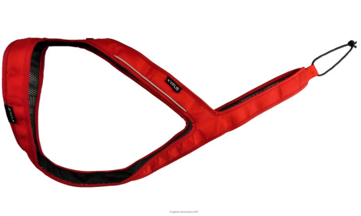 Cerca Offerte di kyflie imbracatura ludus t2 rosso e acquista online