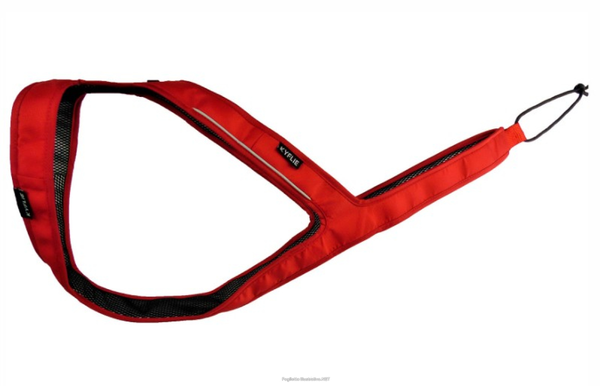 Cerca Offerte di kyflie imbracatura ludus t3 rosso e acquista online