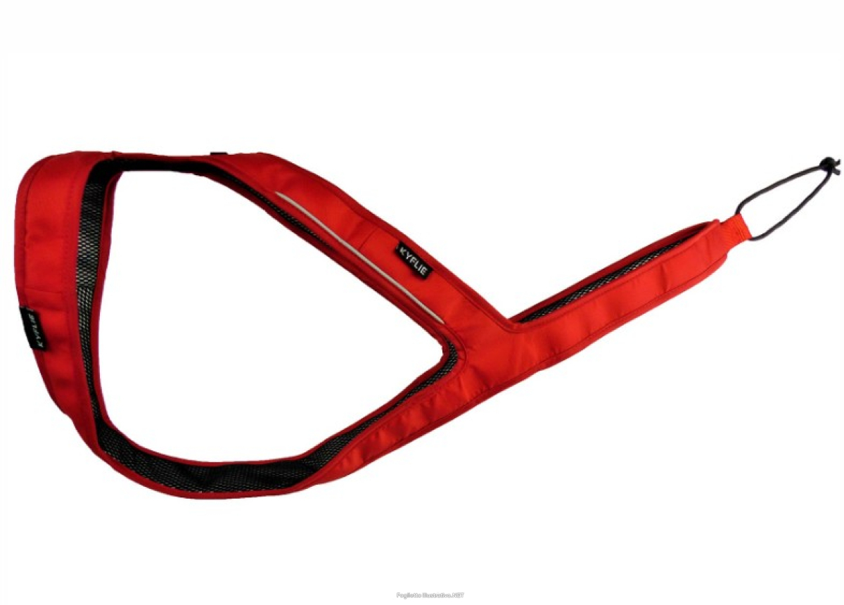 Cerca Offerte di kyflie imbracatura ludus t4 rosso e acquista online