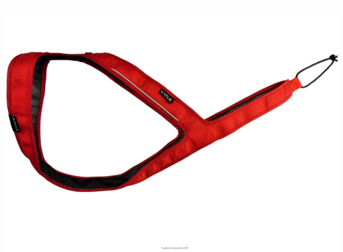 Cerca Offerte di kyflie imbracatura ludus t5 rosso e acquista online