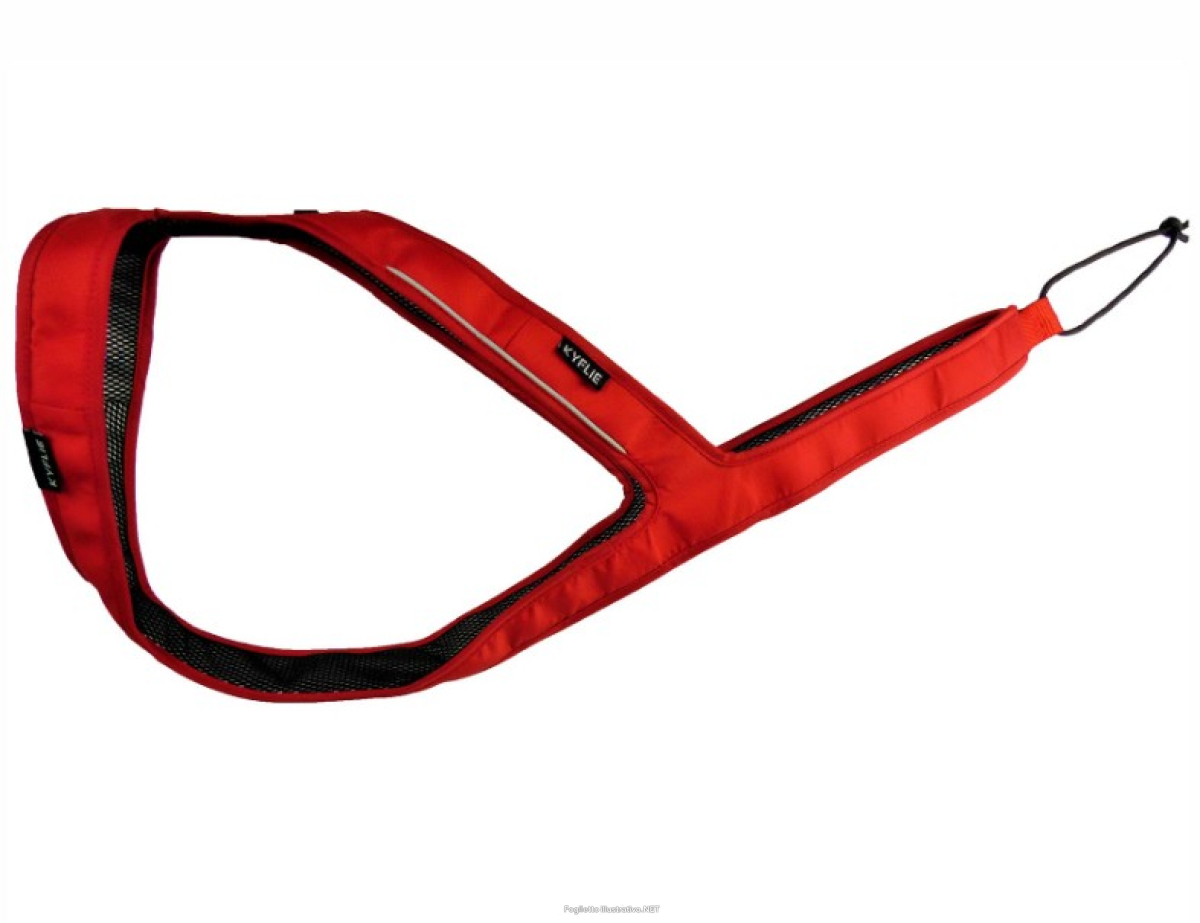 Cerca Offerte di kyflie imbracatura ludus t6 rosso e acquista online