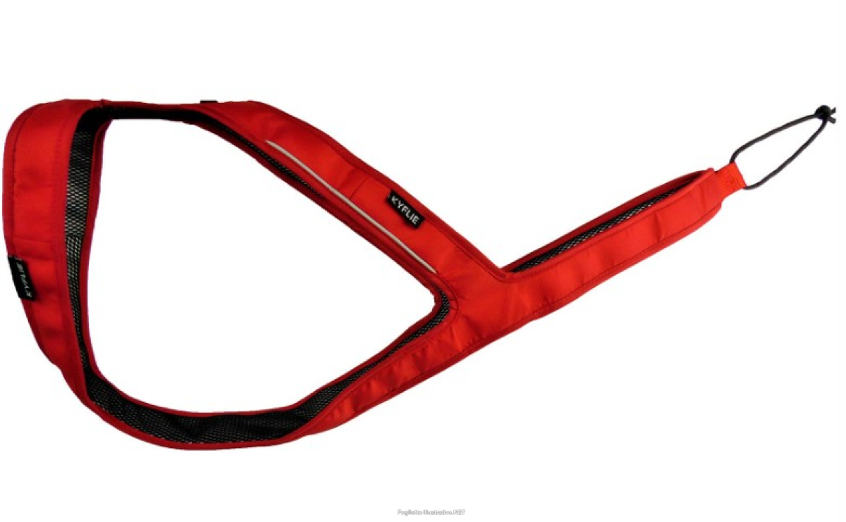Cerca Offerte di kyflie imbracatura ludus t7 rosso e acquista online