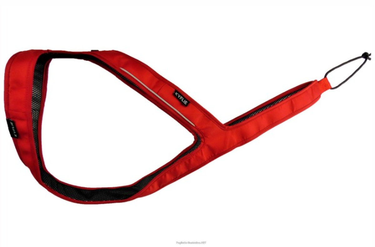Cerca Offerte di kyflie imbracatura ludus t8 rosso e acquista online