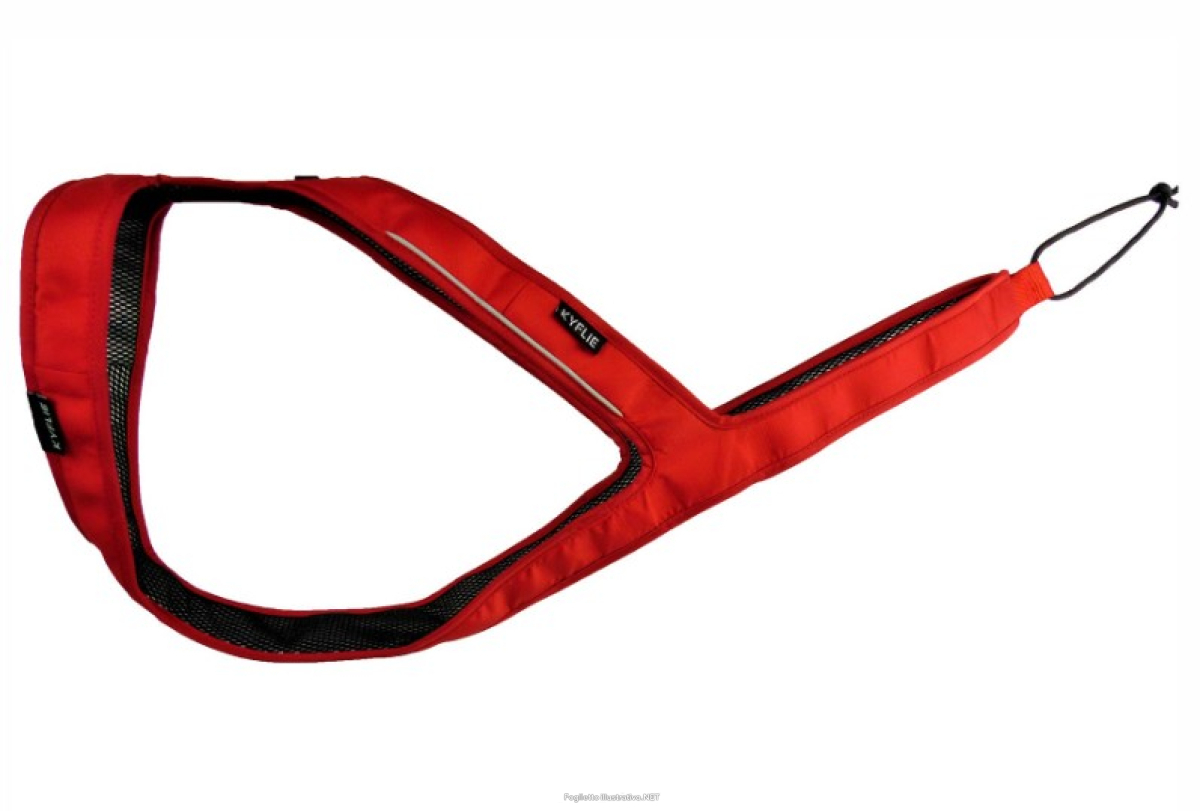 Cerca Offerte di kyflie imbracatura ludus t9 rosso e acquista online