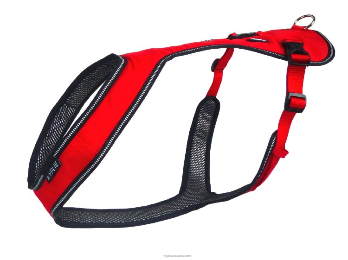 Cerca Offerte di kyflie imbracatura otium t2 rosso e acquista online