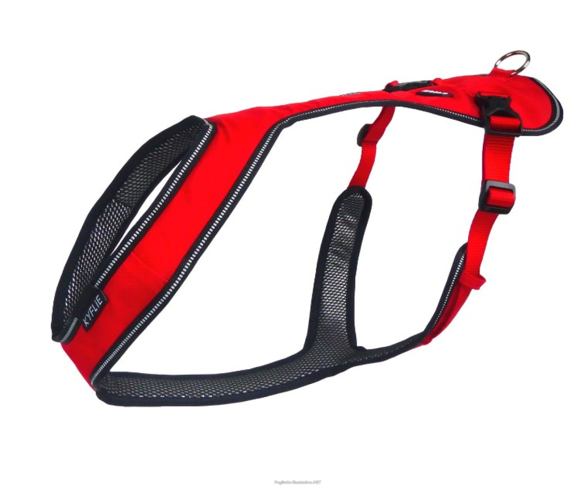 Cerca Offerte di kyflie imbracatura otium t3 rosso e acquista online