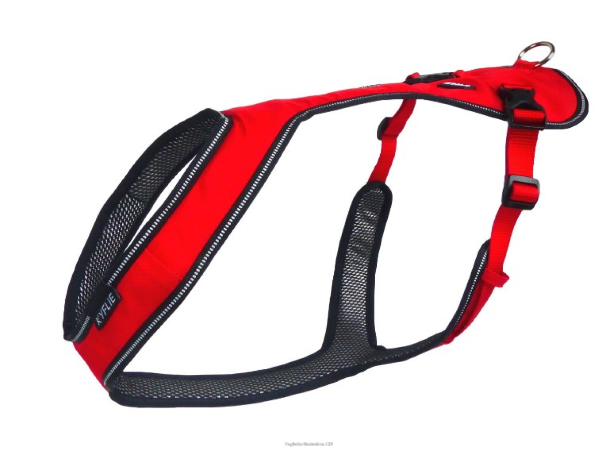 Cerca Offerte di kyflie imbracatura otium t4 rosso e acquista online