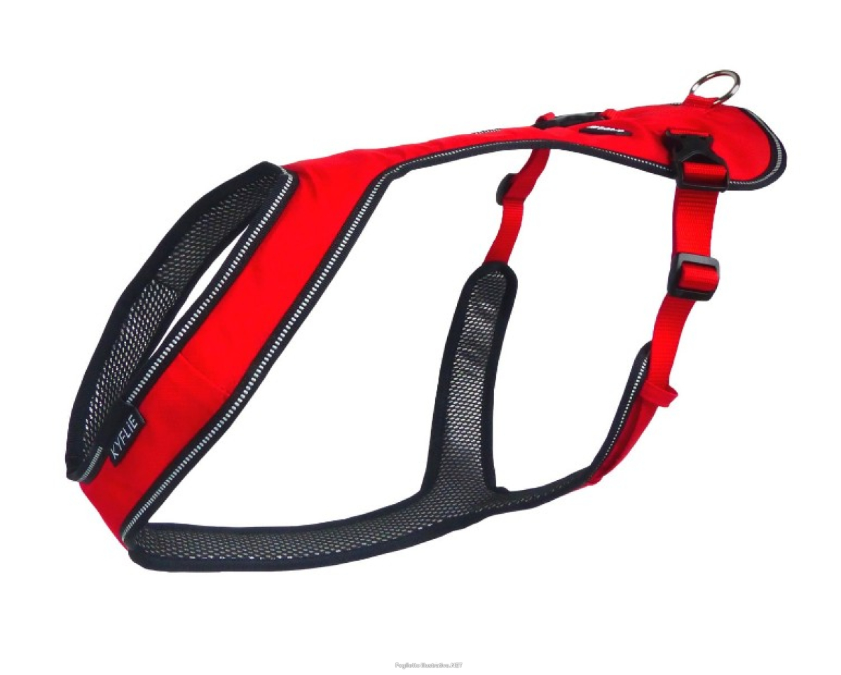 Cerca Offerte di kyflie imbracatura otium t7 rosso e acquista online
