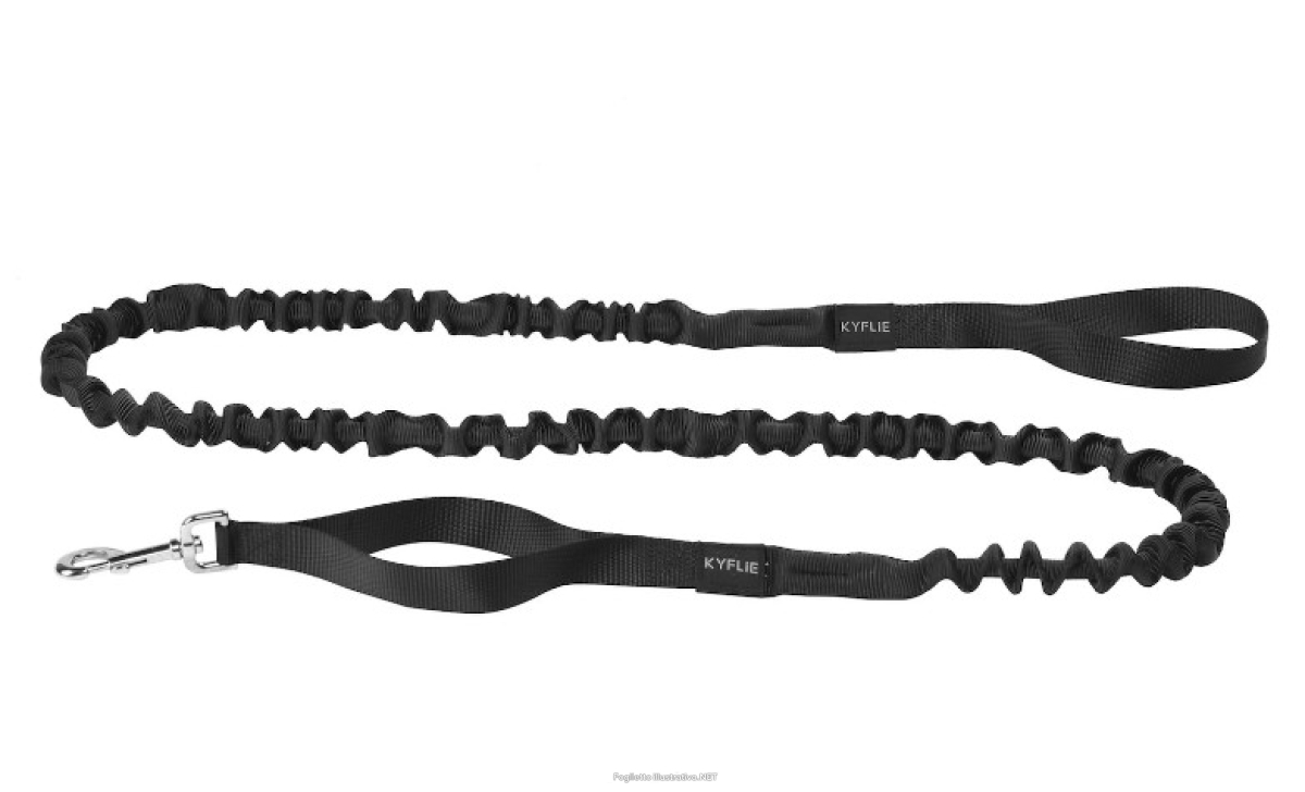 Cerca Offerte di kyflie ludus bike guinzaglio con elastico nero e acquista online