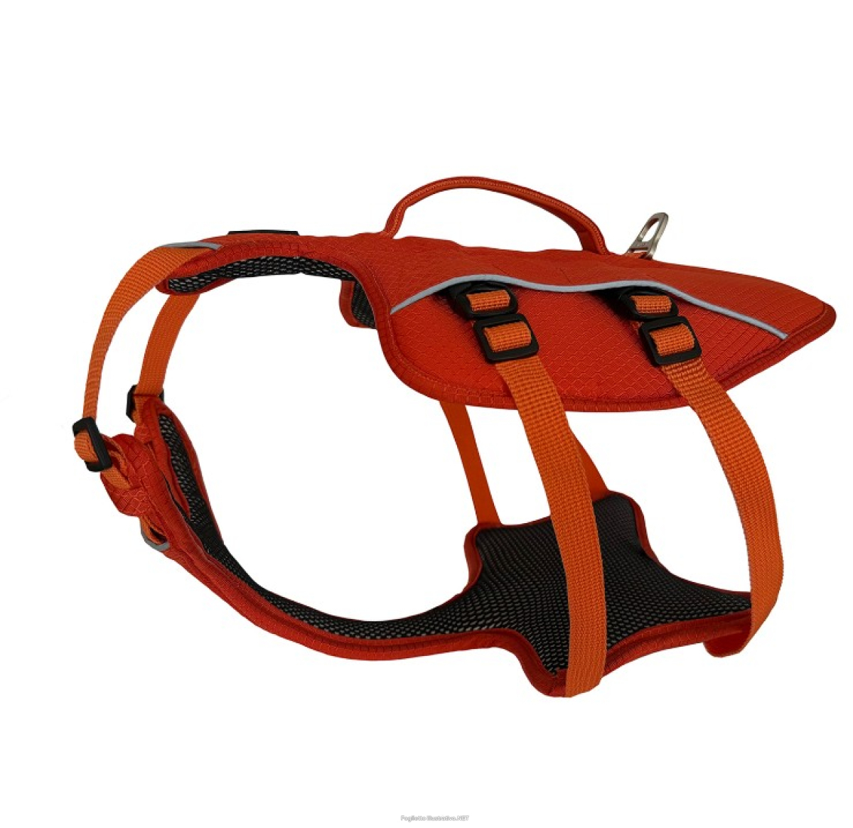 Cerca Offerte di kyflie nomad imbracatura di salvataggio (xl) e acquista online