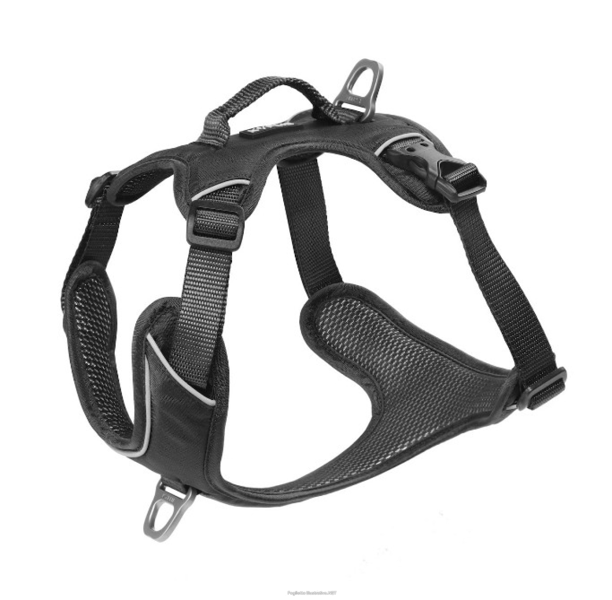 Cerca Offerte di kyflie pettorina momentum (l) nero e acquista online
