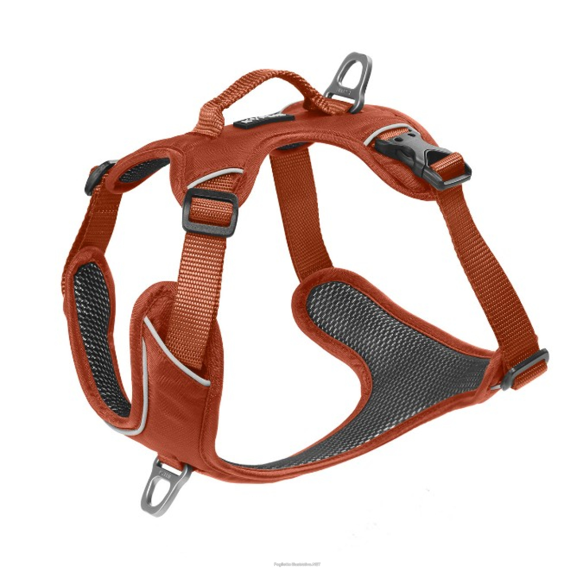 Cerca Offerte di kyflie pettorina momentum (l) rame e acquista online