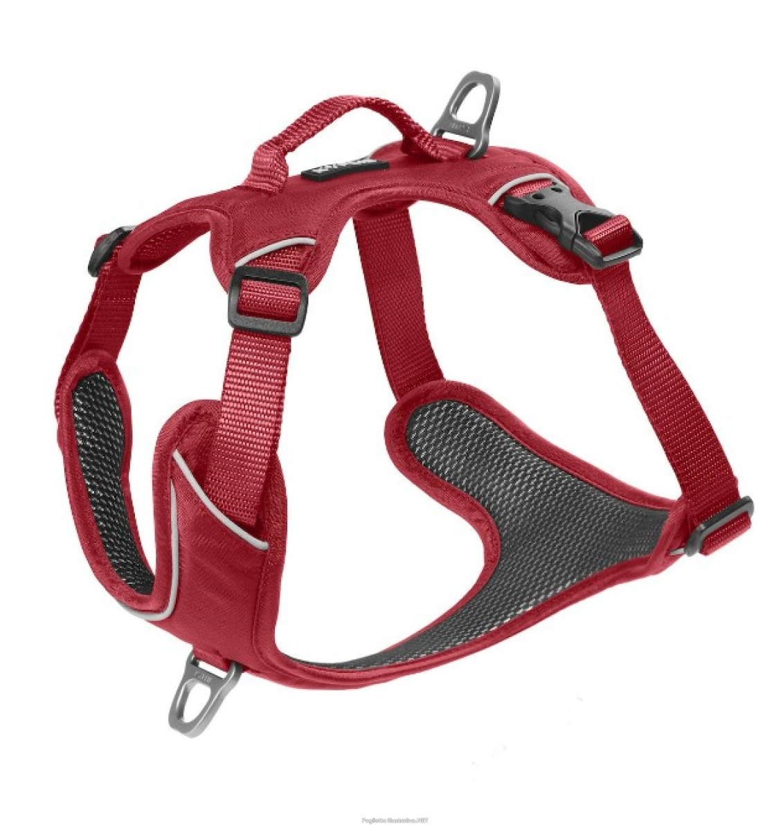 Cerca Offerte di kyflie pettorina momentum (xs) rossa e acquista online