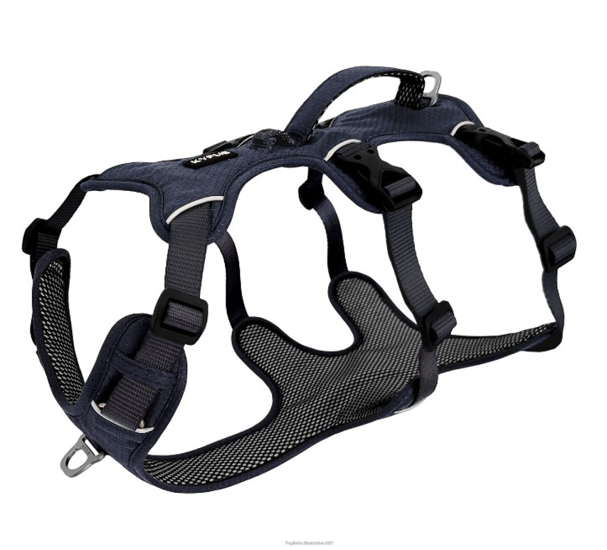Cerca Offerte di kyflie pettorina nomad (xl) night blue e acquista online