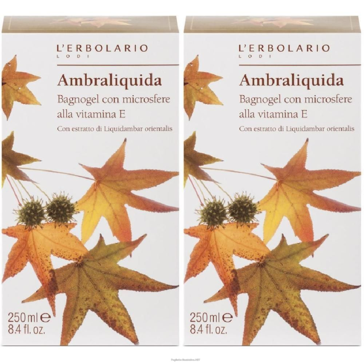 Cerca Offerte di l'erbolario ambraliquida bagnogel con microsfere alla vitamina e 2x250 e acquista online