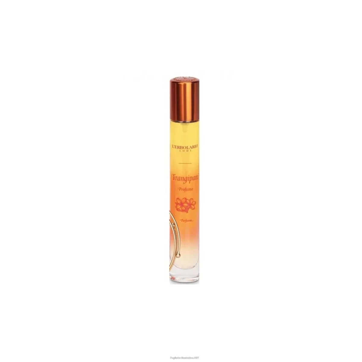 Cerca Offerte di l'erbolario - frangipani profumo confezione 15 ml e acquista online