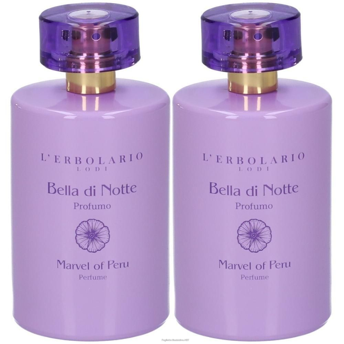 Cerca Offerte di l´erbolario profumo bella di notte 2x100 ml e acquista online