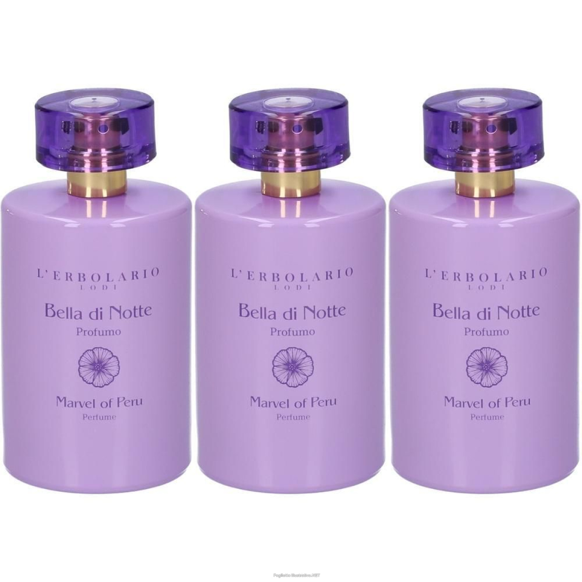 Cerca Offerte di l´erbolario profumo bella di notte 3x100 ml e acquista online