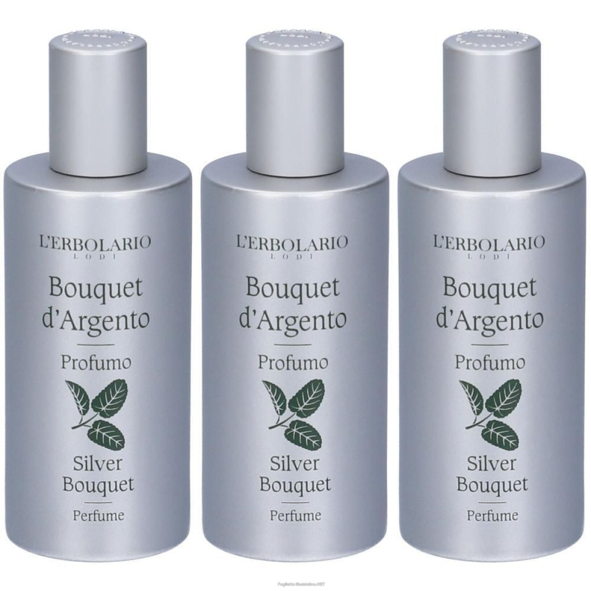 Cerca Offerte di l`erbolario profumo bouquet d'argento 50 ml e acquista online