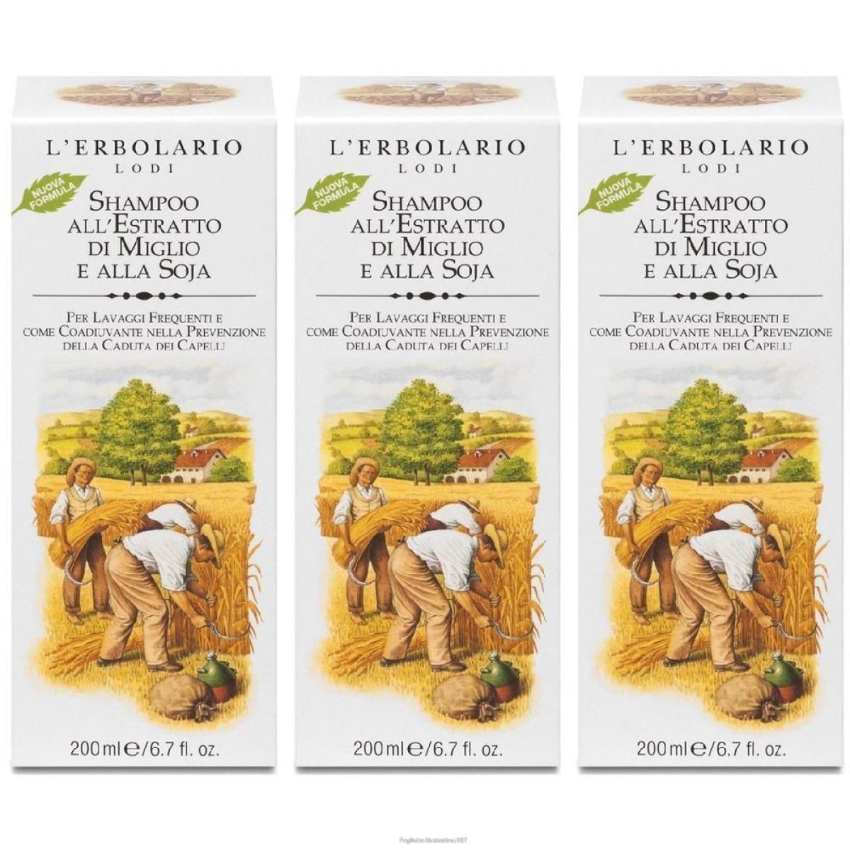 Cerca Offerte di l`erbolario shampoo miglio e soja 3x200 ml e acquista online