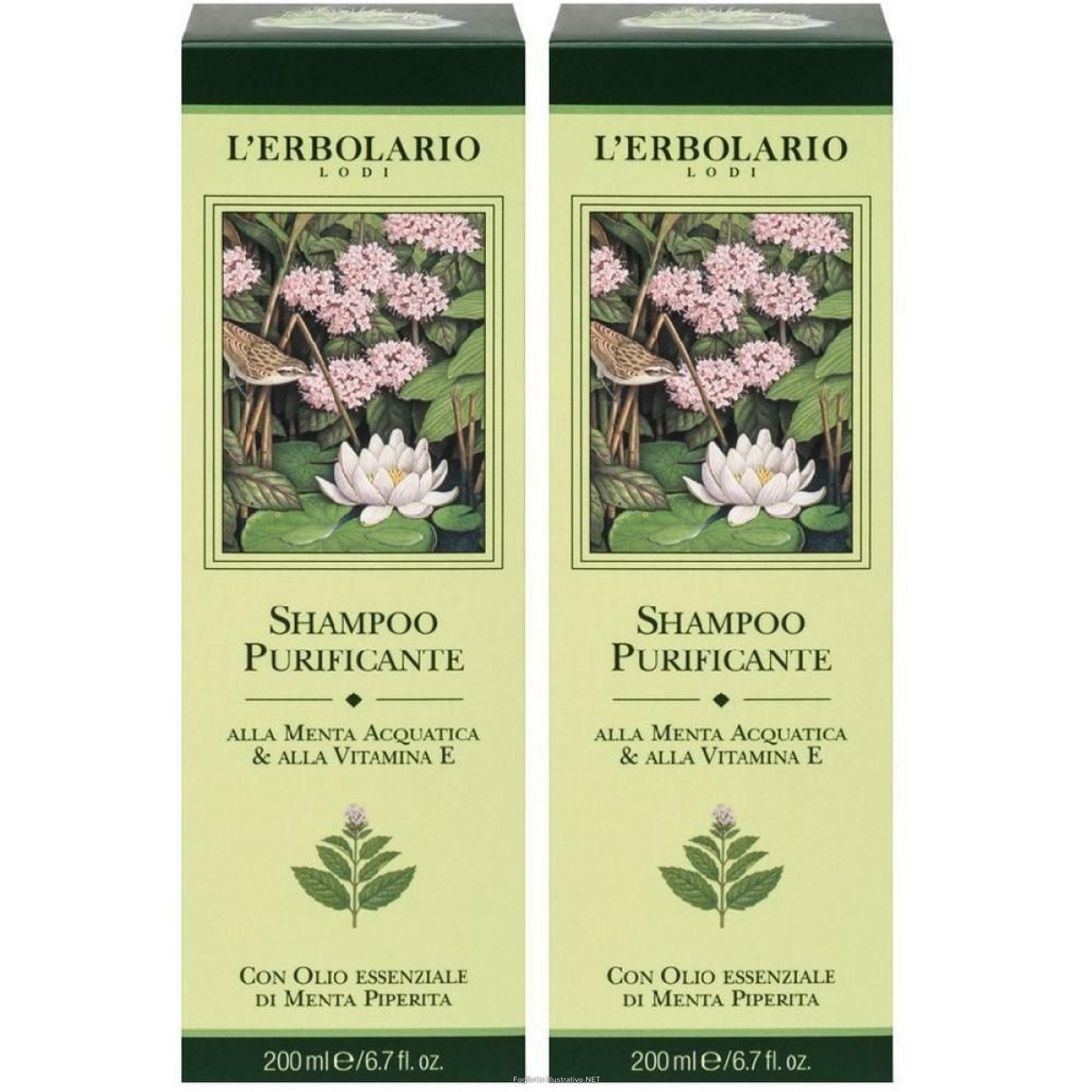 Cerca Offerte di l`erbolario shampoo purificante alla menta e vitamina e 2x200 ml e acquista online