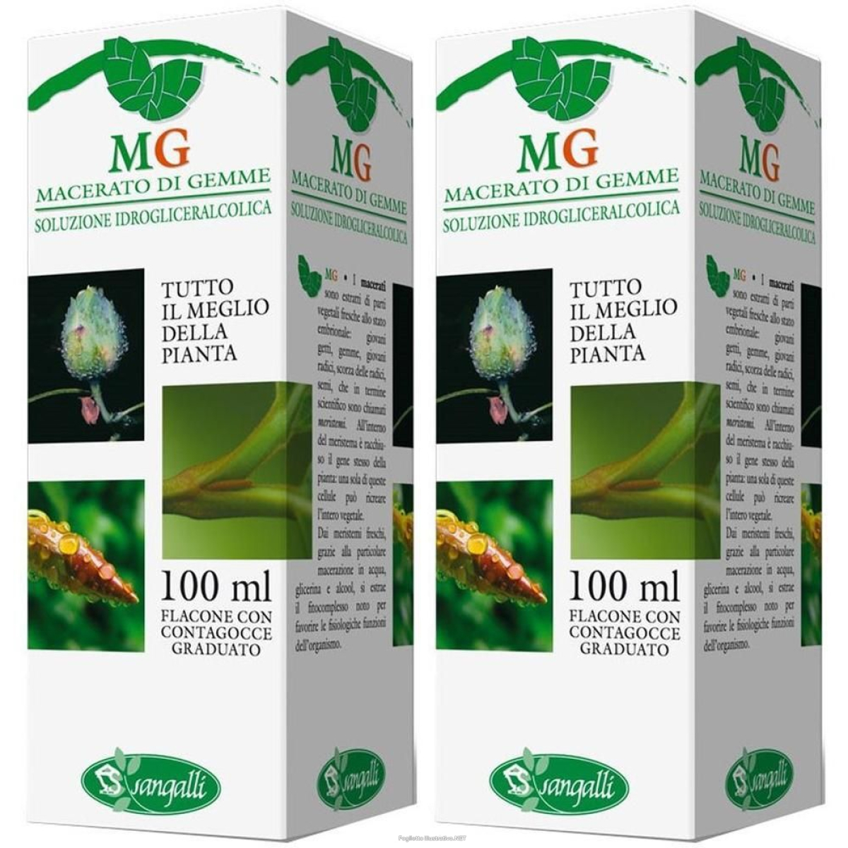 Cerca Offerte di lampone 100 ml gm 2x100 ml e acquista online