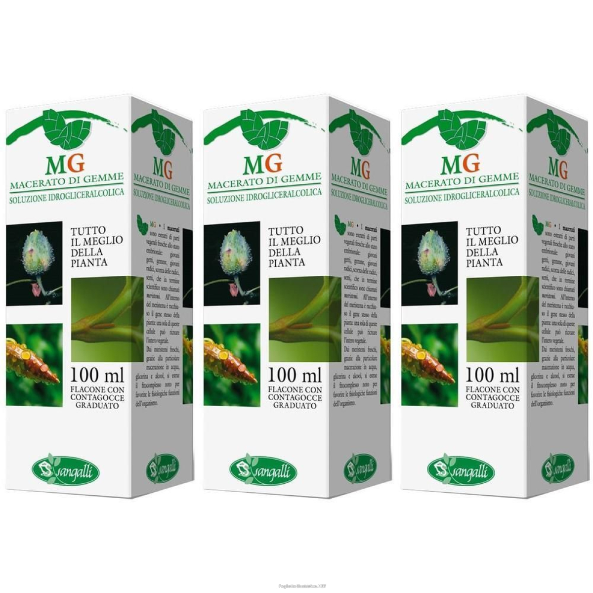 Cerca Offerte di lampone 100 ml gm 3x100 ml e acquista online