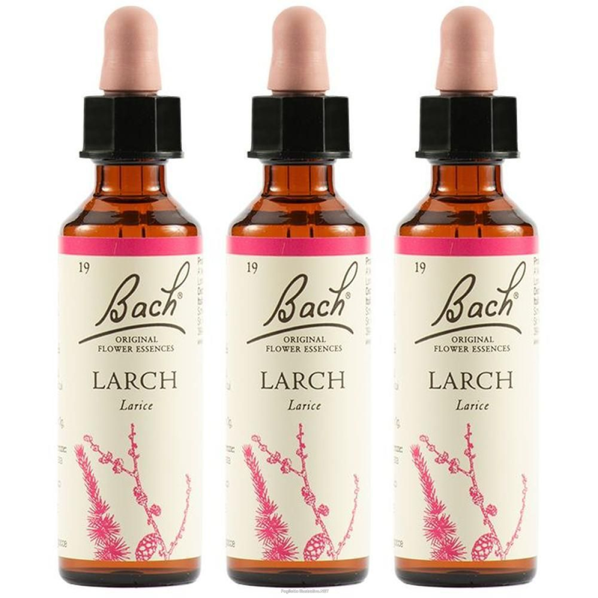 Cerca Offerte di larch bach orig 20ml 3x20 ml gocce orali e acquista online